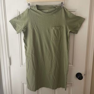 Everlane shirt dress